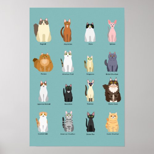 cats breeds various catscats art poster