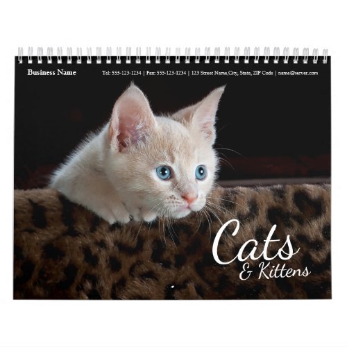 Cats Business Company Corporate Wall Calendar 2024