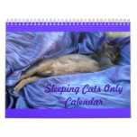 Cats Calendar at Zazzle