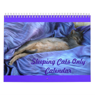 Cats Calendar