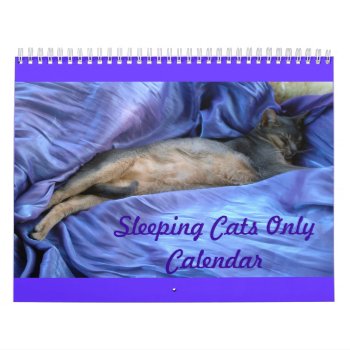 Cats Calendar by Calendar_Store at Zazzle