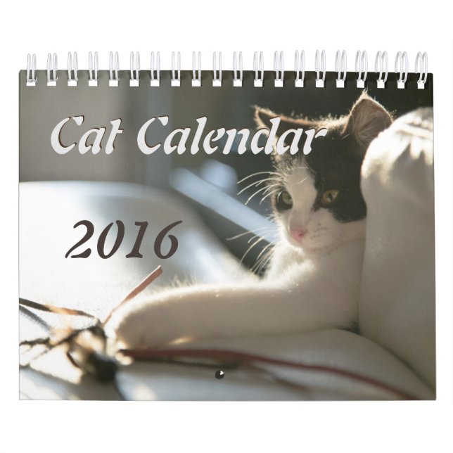 Cats Calendar (Cover)