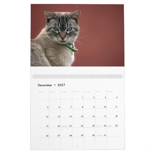 Cats Calendar (Dec 2027)