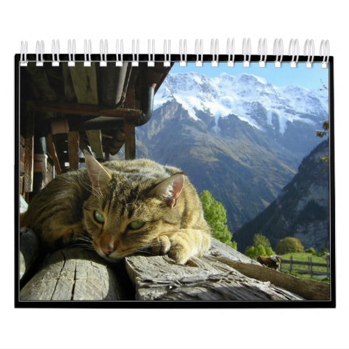 Cats Calendar 2012