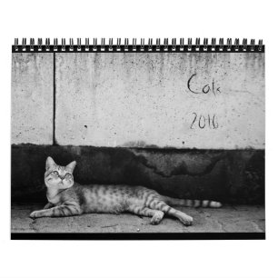 Cats - Calendar 2016