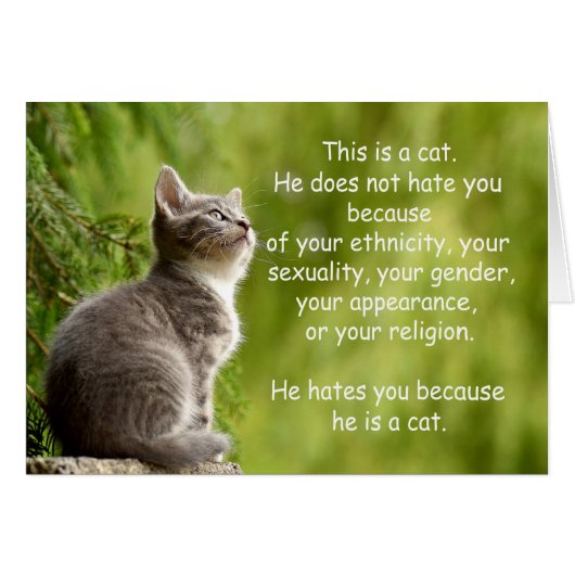Cats Cards (Front Horizontal)