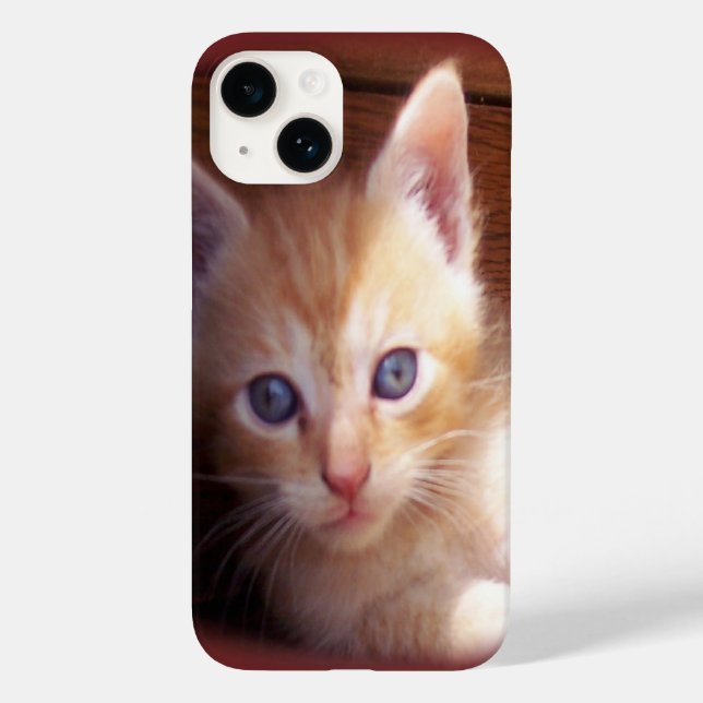 Cats Case-Mate iPhone Case (Back)