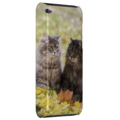 Cats Case-Mate iPod Touch Case