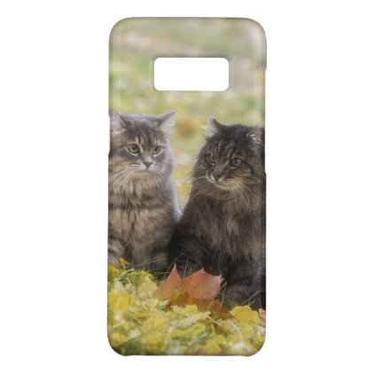 Cats Case-Mate Samsung Galaxy S8 Case