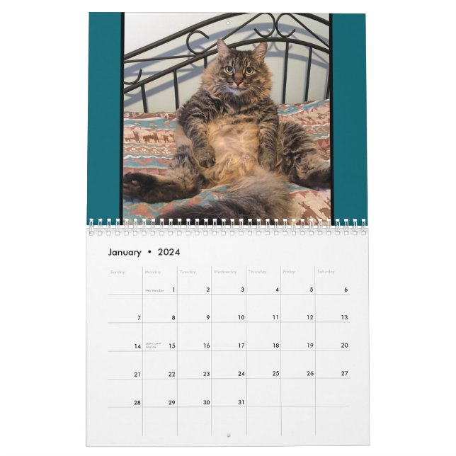 Charismatic Cats 2024 Calendar