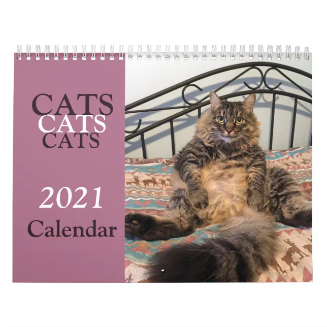 Charismatic Cats 2024 Calendar