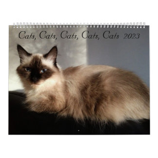 Cats, Cats, Cats, Cats, Cats 2023 Calendar