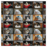 Cats Cats Cats Fabric