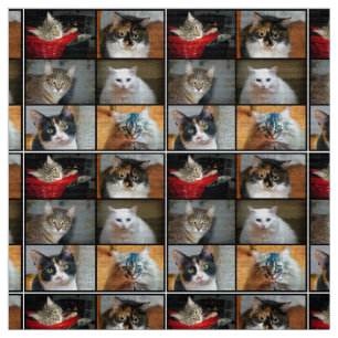 Cats Cats Cats Fabric