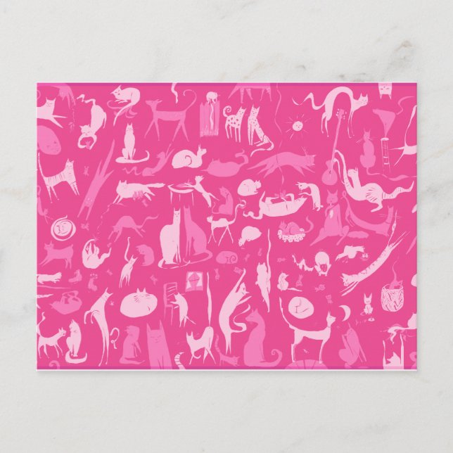 Cats! Cats! Cats! Postcard (Front)