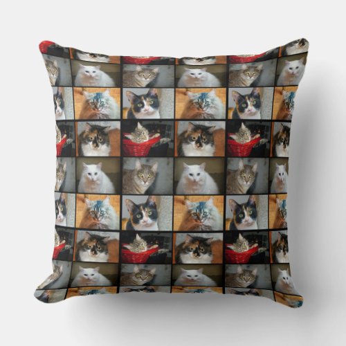 Cats Cats Cats Throw Pillow