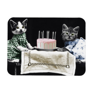 Cats celebrating a birthday with cake and candles magnet