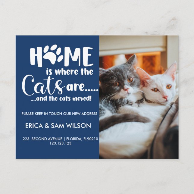 Cats Change of address we have moved house  Announcement Postcard (Front)
