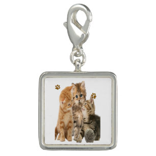 Cats Charm