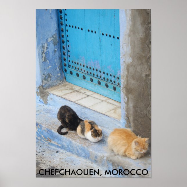 Cats, Chefchaouen, Morocco Poster (Front)