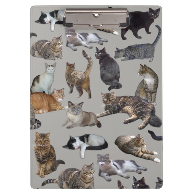 Cats Clipboard (Front)