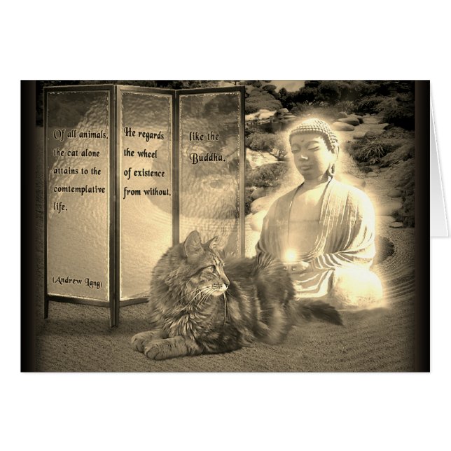 Cats contemplative like Buddha Cards (Front Horizontal)