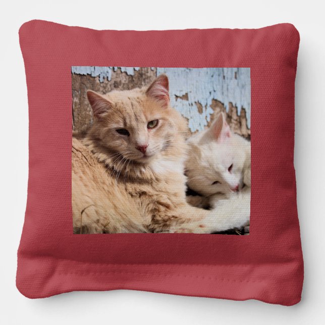 Cats  cornhole bags (Front)