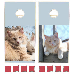 Cats cornhole set
