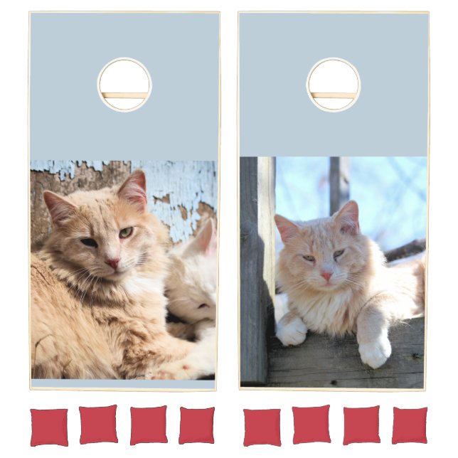 Cats  cornhole set (Set)