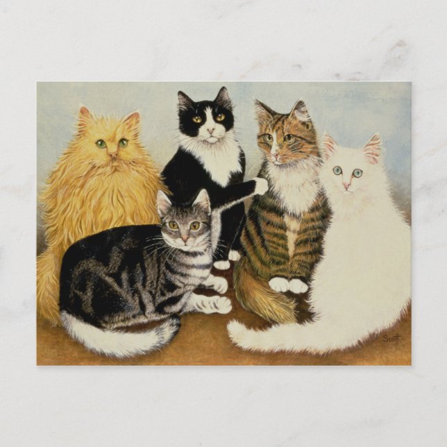 Cat's Cradle Postcard (Front)