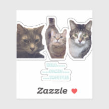 Cats Custom-Cut Vinyl Sticker