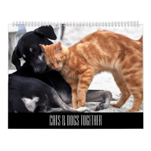 Cats & Dogs Friends Together Calendar