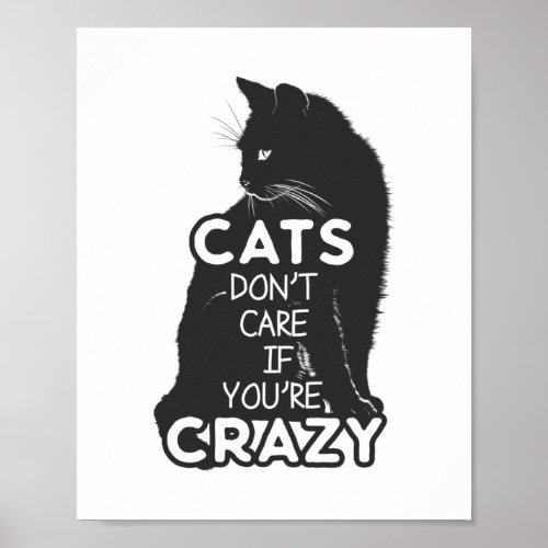 Cats Dont Care if Youre Crazy Fun Poster