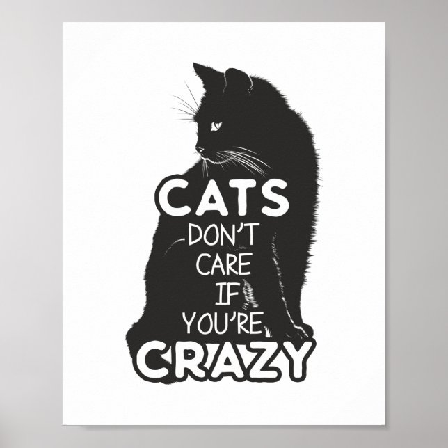 Cats Don't Care if You're Crazy Fun Poster (Front)