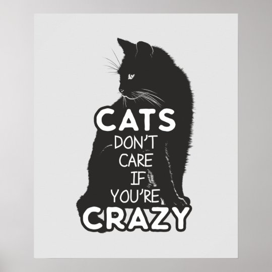 Cats Don't Care if You're Crazy Poster | Zazzle.com