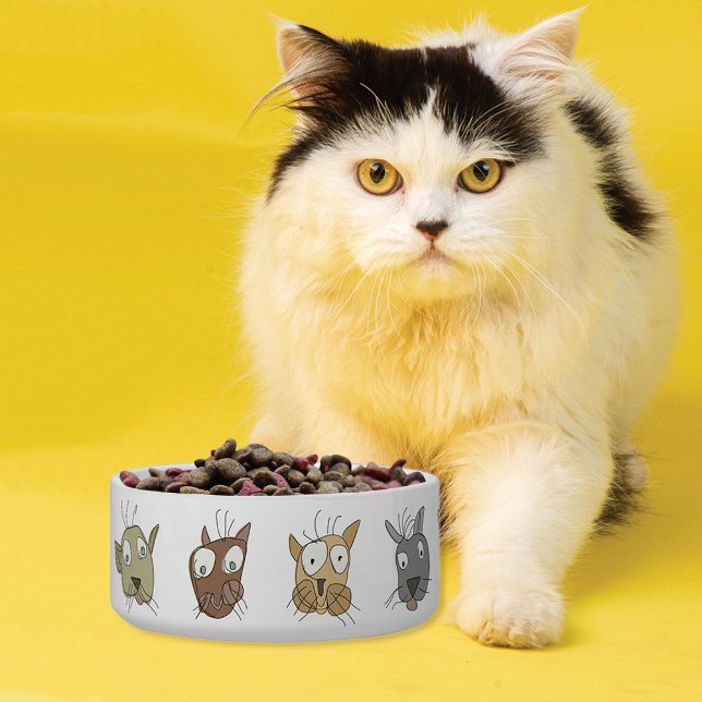Cats Doodle Bowl (Creator Uploaded)
