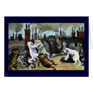 Cats Duke It Out on a Rooftop