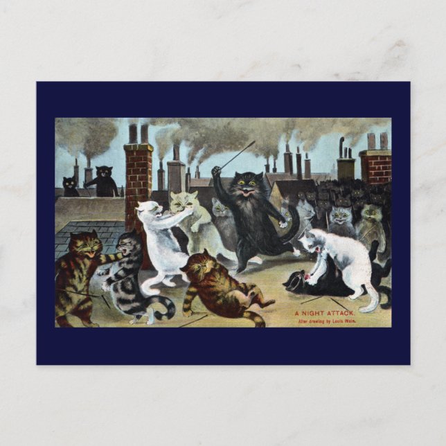 Cats Duke It Out on a Rooftop Postcard (Front)