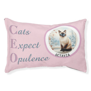 Cats Expect Opulunce Funny Dusky Pink Photo Name Pet Bed