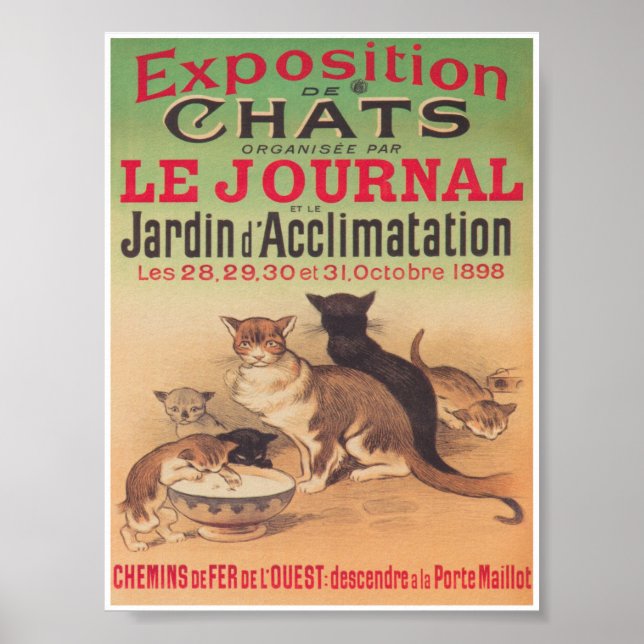 Cats Exposition Advertisement Vintage Poster (Front)