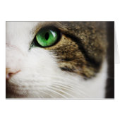 Cat's eye (Front Horizontal)