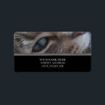 Cat's Eye Address Labels<br><div class="desc">Just change the template to your own address information and change the color of the text if you like... and you're done!
copyright 2010, photography by M. Hamilton.</div>