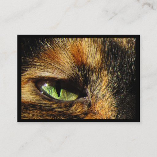 Customizable Cat's Eye ATC Business Cards