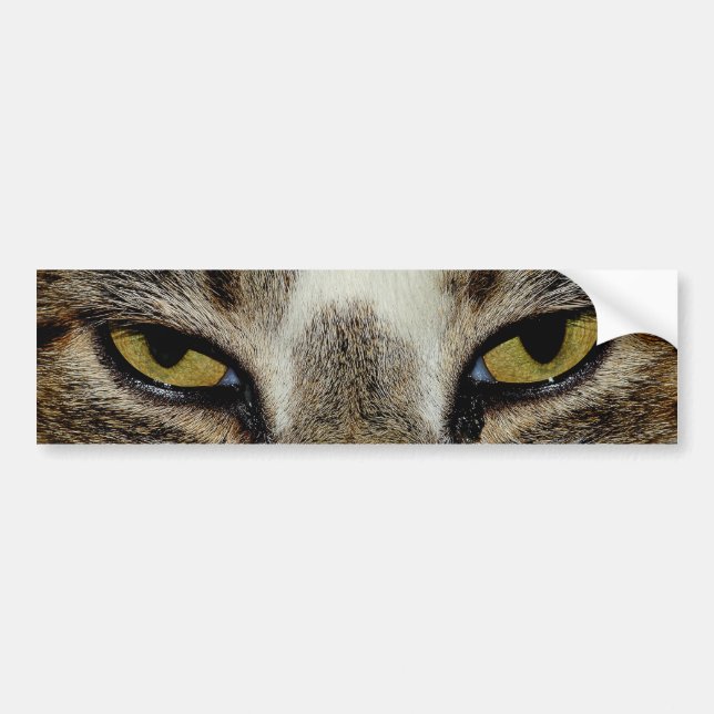 Cat's eye bumper sticker (Front)