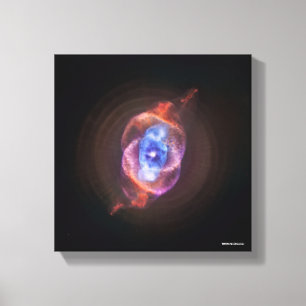 Cat's Eye Canvas Print