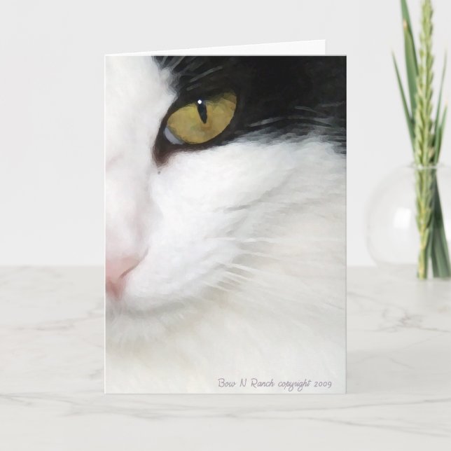 Cats Eye Card (Front)