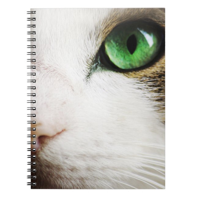 Cat's Eye Notebook (Front)