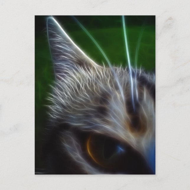 Cat's Eye Photomanipulation Postcard (Front)