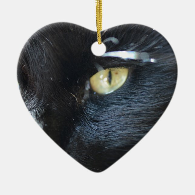 Cat's Eyeing You Ceramic Ornament (Front)