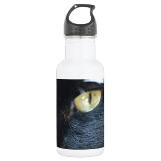 Cat's Eyeing You Stainless Steel Water Bottle
